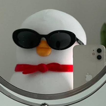 nxz_520's tweet image. 와 이 오리 짤을 안 쓸 수가 없다