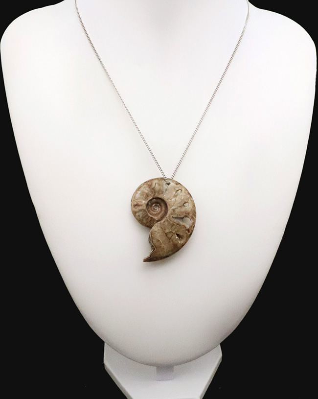 悠久の時を、あなたの日常に。大切な方へのプレゼントにもおすすめ