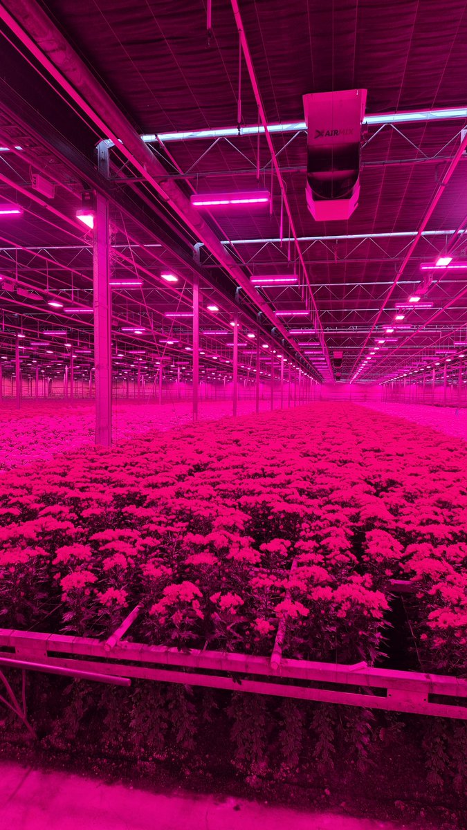 Wat een futuristische omgeving. 
Maar wel één waar onze vakmensen de stoomleiding gaan vervangen 💪
