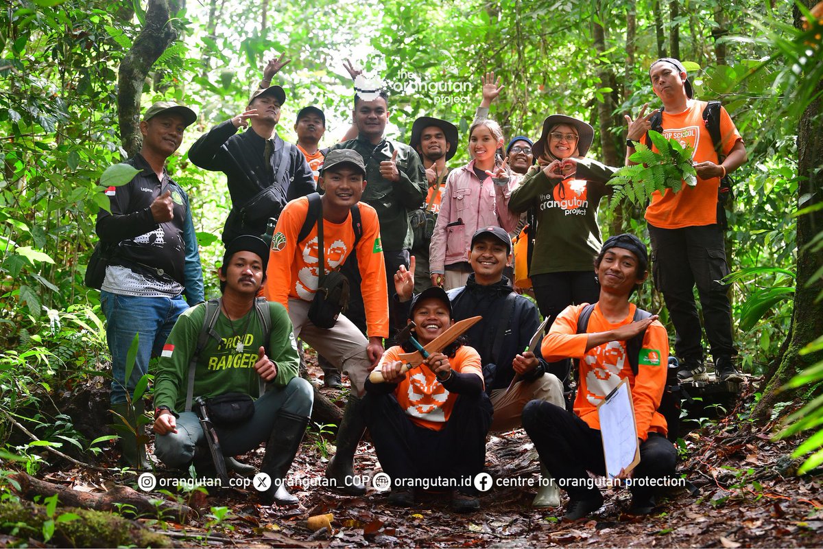 Februari 2016 pertama kalinya aku kerja di konservasi satwa liar. Ga terasa udah 10 tahun berlalu.

Rehabilitasi bayi orangutan sampai pelepasliaran, monitoring perilaku, survei habitat di Kaltim &amp; Sumut, dan petualangan2 lain yg menanti di depan.