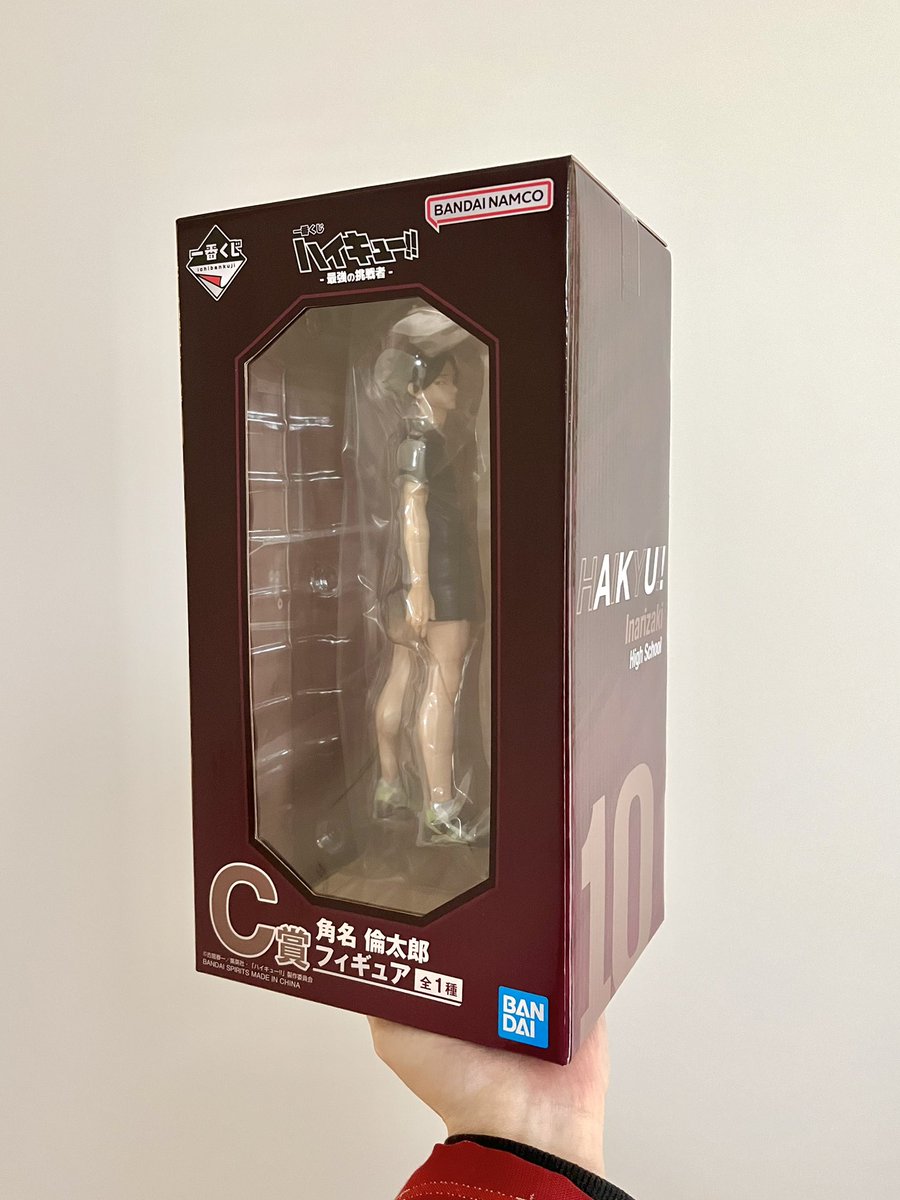 ぴょんぴょこぴょん tweet media