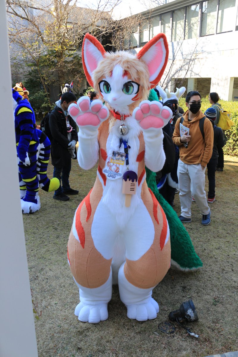 是政　KOREMASA tweet media