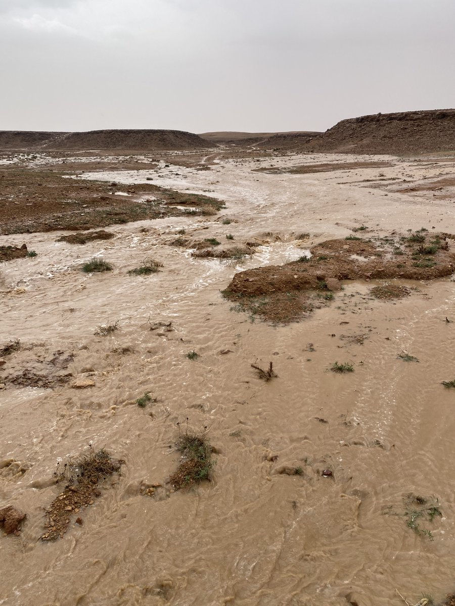 ابوعبدالله الفيصل 70 tweet media