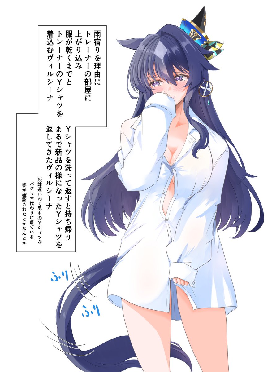 これはトレーナーのYシャツ(彼シャツ)を手に入れたヴィルシーナ 