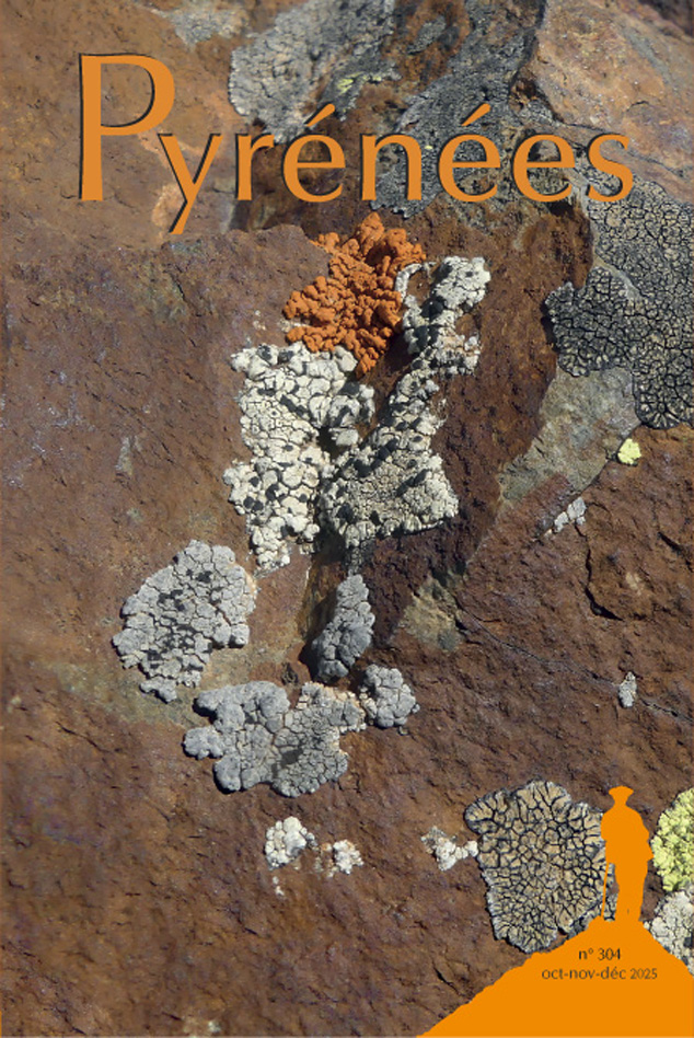 PyreneesRevue's tweet photo. LA COUVERTURE DU NUMÉRO 304
à paraître avant la fin du mois
la photo illustre un important article consacré aux lichens du massif du Vignemale. les lichens sont nombreux et variés et le Vignemale en abrite un grand nombre d'espèces. https://t.co/KtoYaiMeeJ