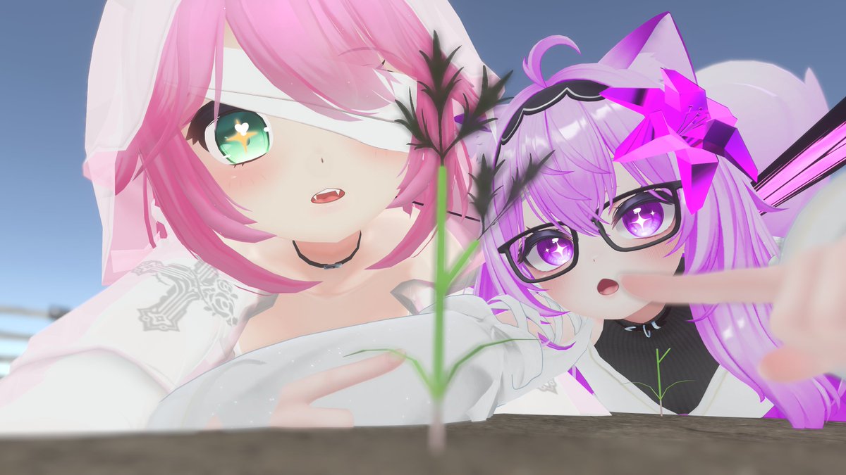 shammytsi's tweet photo. This is a world where you plant carrots that grow in realtime! These photos were taken with weeks/months between them https://t.co/XgZVHqSwuf
