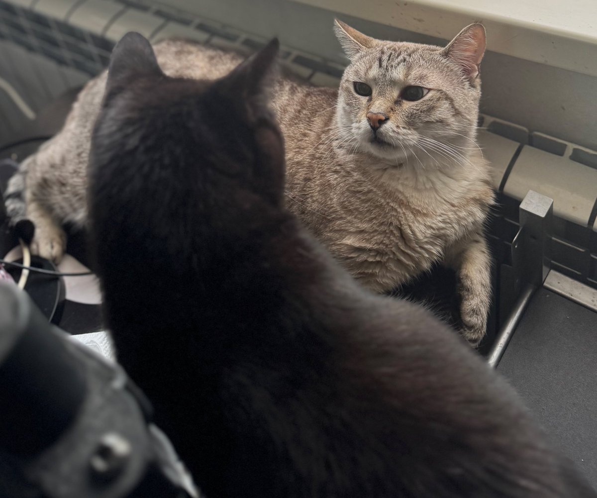 Rousseau & Reese Think Tank tweet media