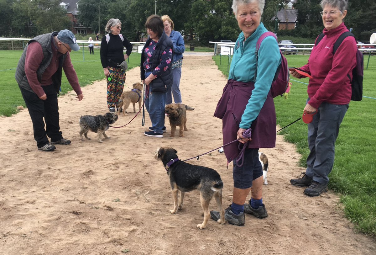 Mabel & Stanley OBE 🐶🐾🐕 tweet media