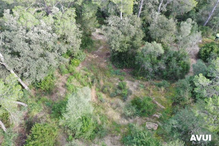 Agència de Defensa del Territori de Mallorca tweet media