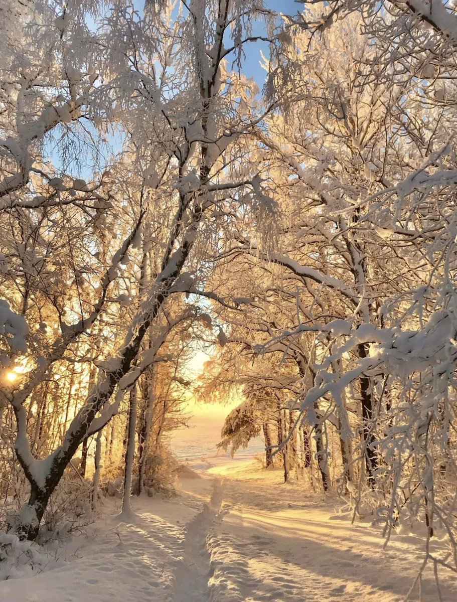 JeannaSzymanski's tweet image. Good Saturday mornin’, X friends! 🌅
Rise &amp;amp; shine weekend vibes are here!
Wishing you pure positivity, overflowing happiness, and all the joy of a perfect Saturday.
Sip slow, laugh loud, love big, and enjoy every single moment you deserve it! 
#SaturdayVibes #WeekendJoy