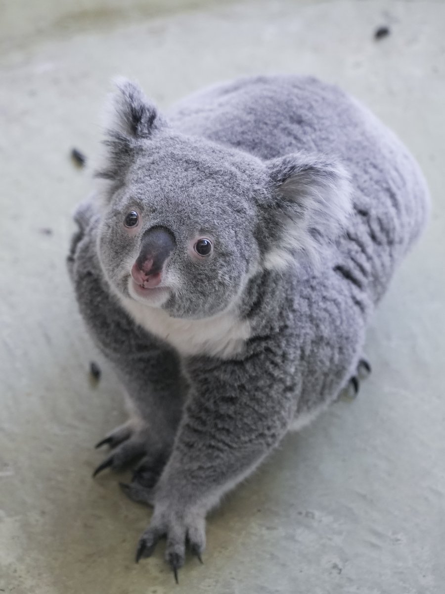 なお (@na_a_m_sm) / Posts / X