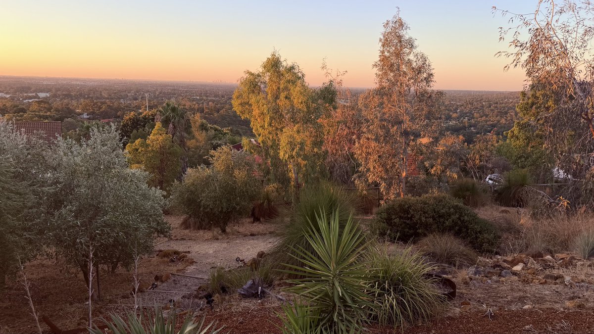 Tony Buti tweet media