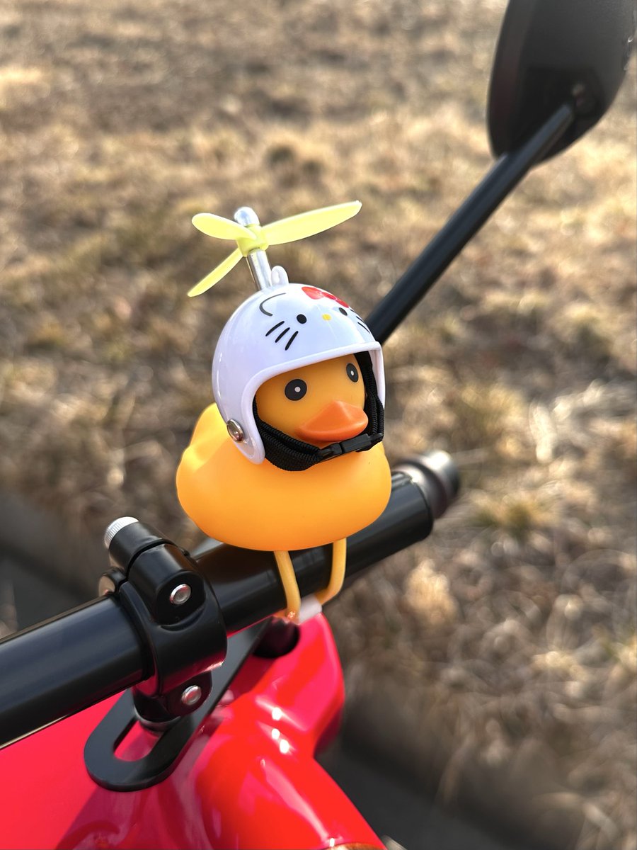 maimai （バイク女子） (@maimai_321) / Posts and Replies / X