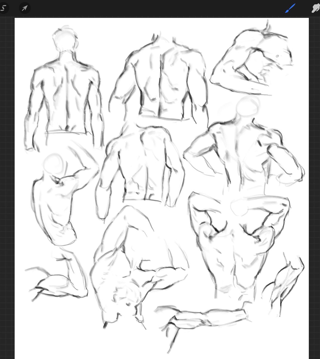 Back study!