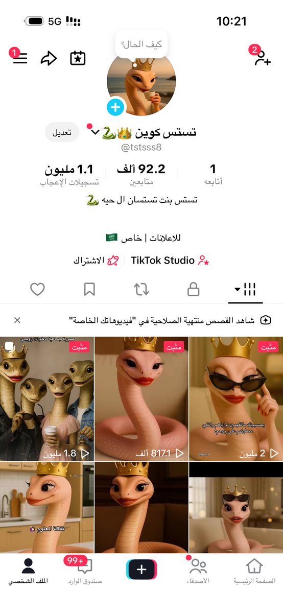 سارة المشعل tweet media