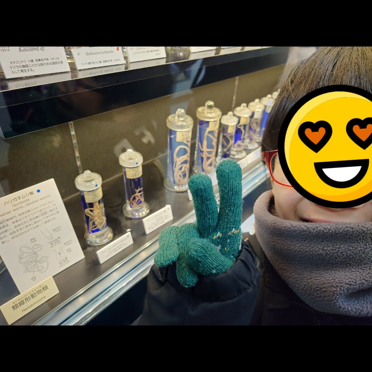 Di5_Daibon tweet media