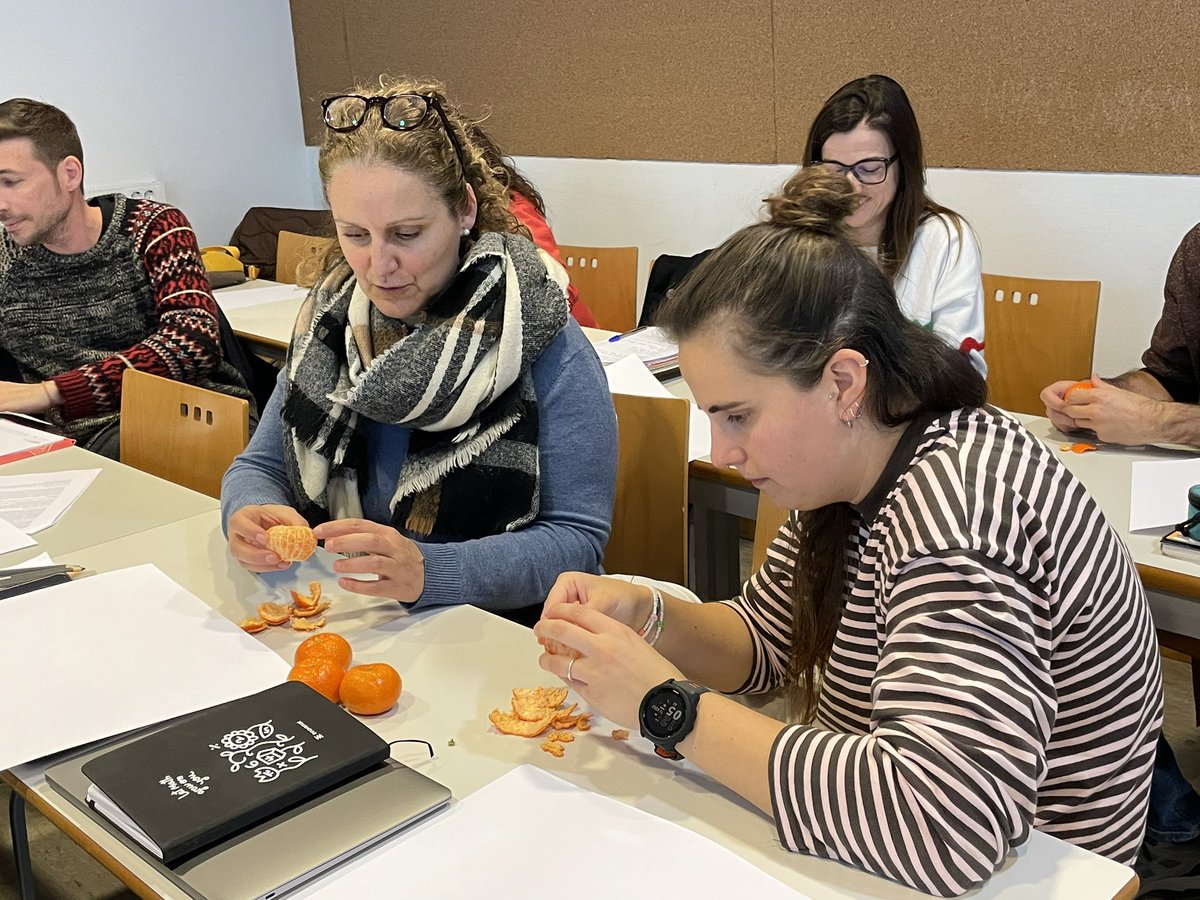 Lleimat Lleida tweet media