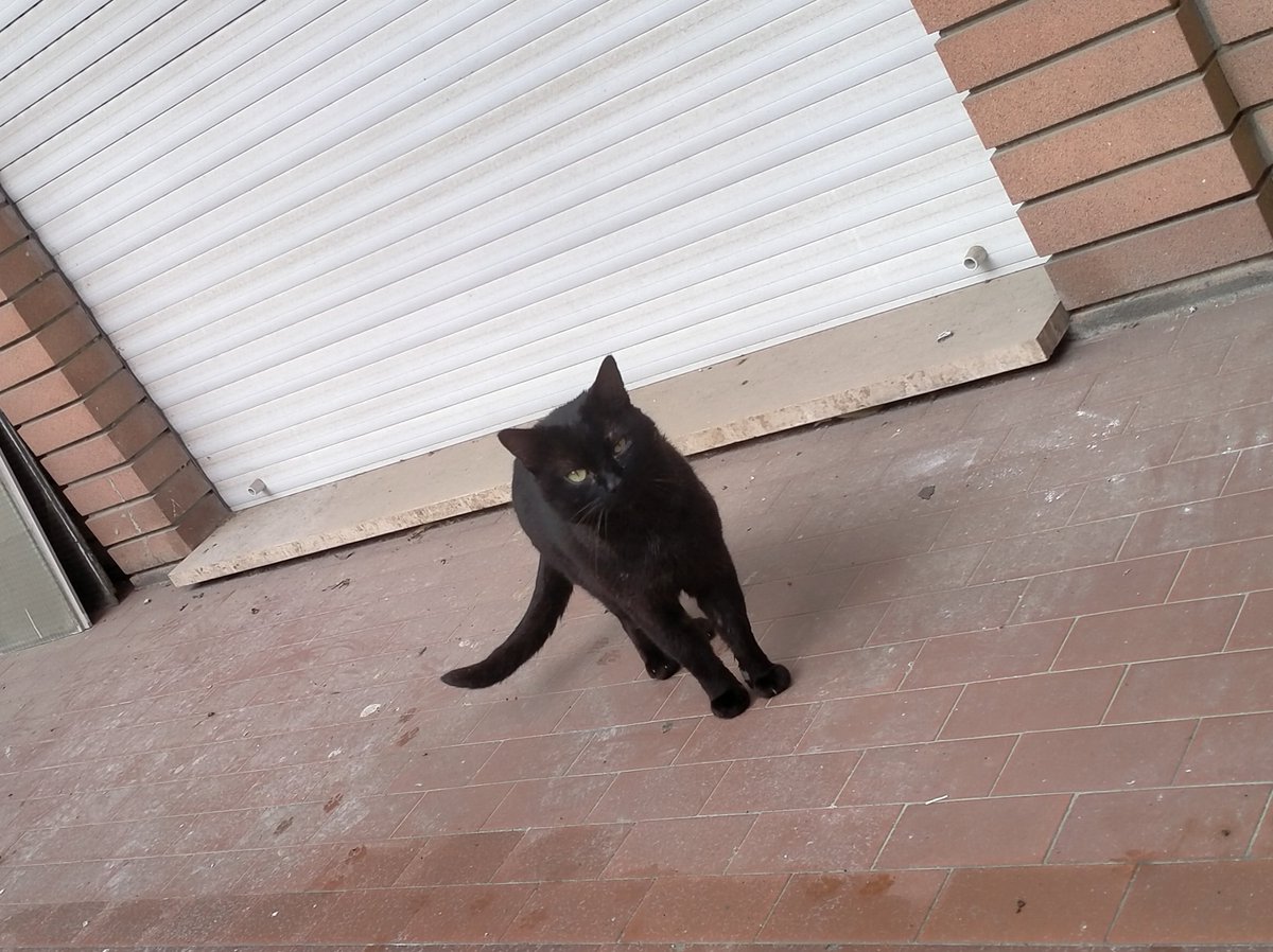 E tu chi sei? Attento che se ti attraverso la strada porto più rogna io 🤭