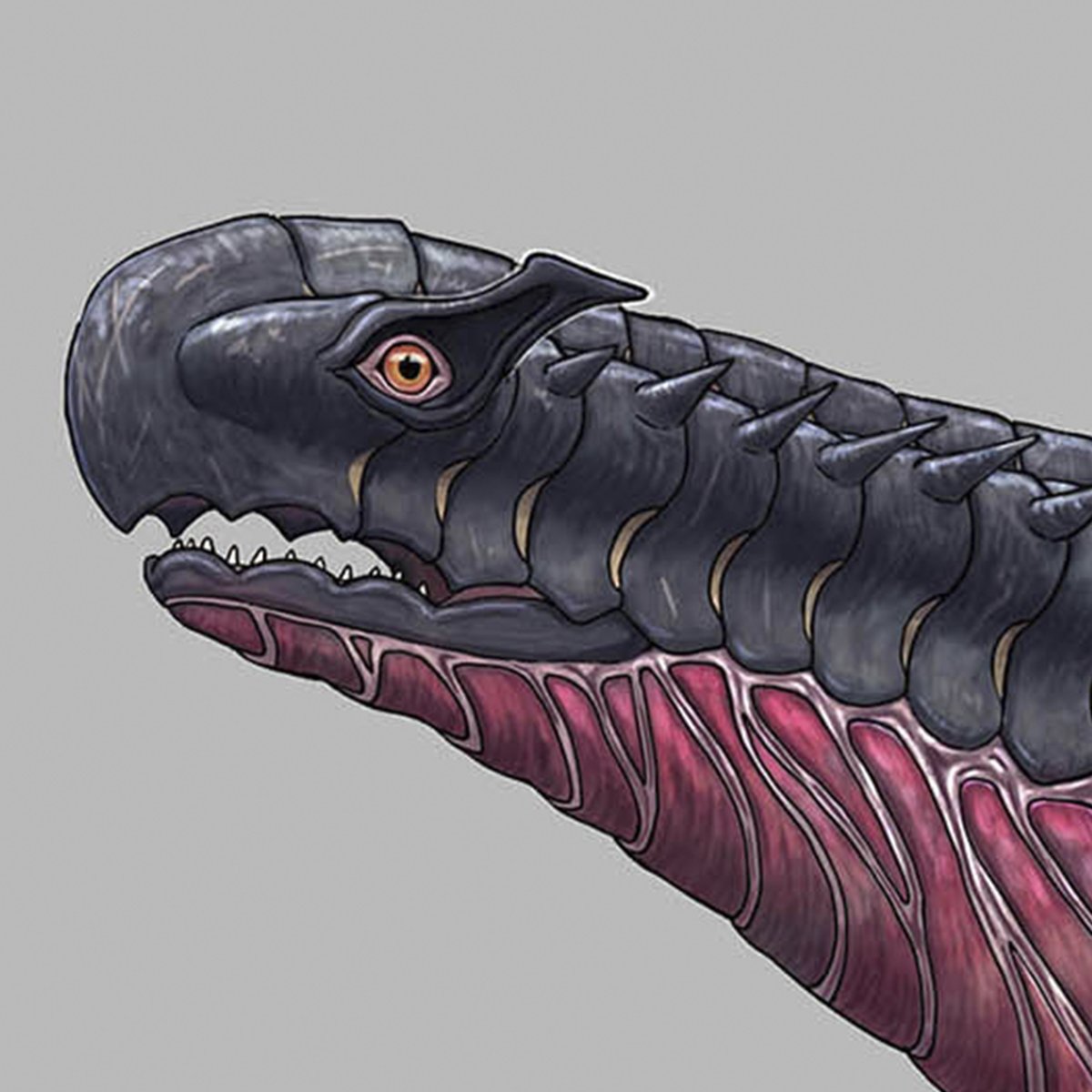 マツトモギガ tweet media