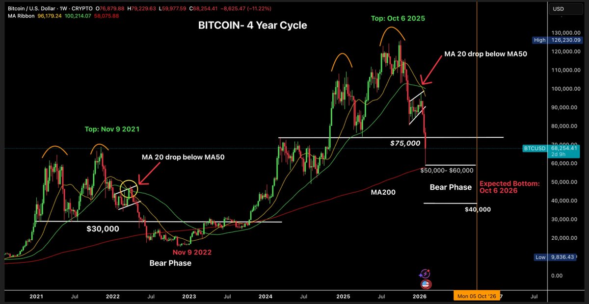Bull Theory tweet media
