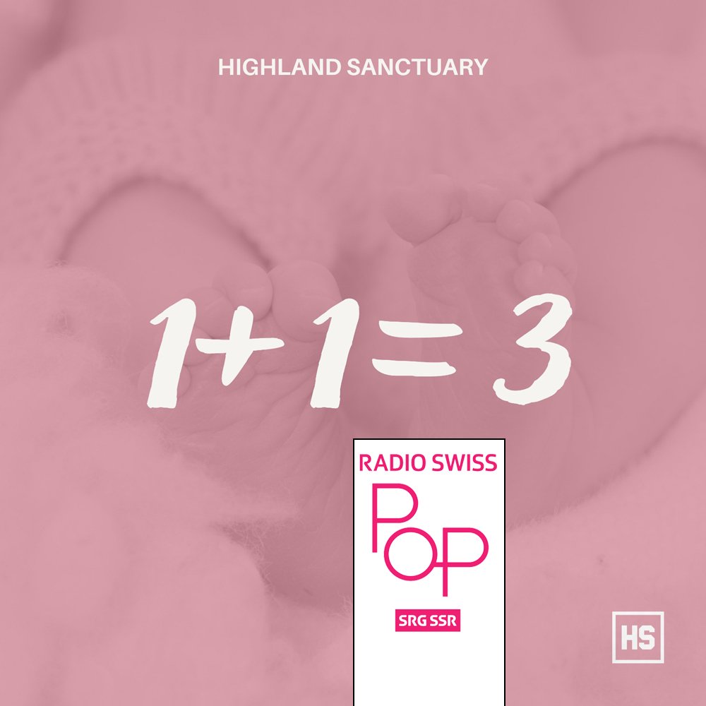 your Team tweet media