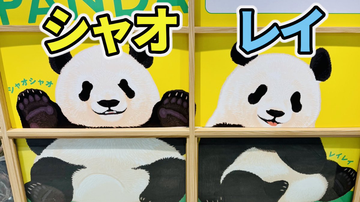 スロアフロ tweet media