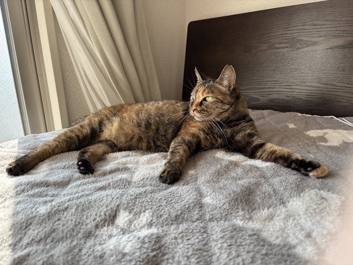 ﾊﾞﾊﾞｰﾝ‼︎