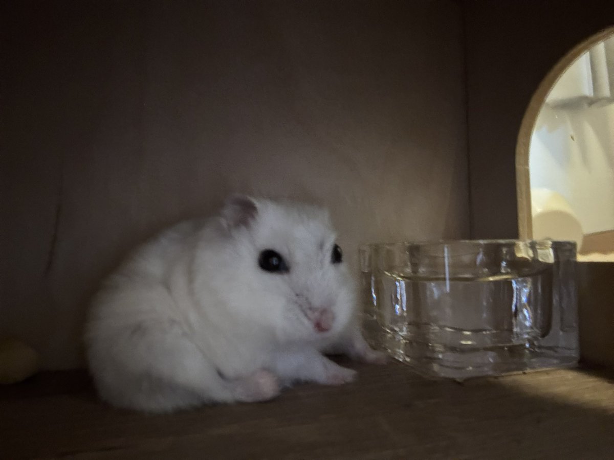 그루밍하다딱들켰어~