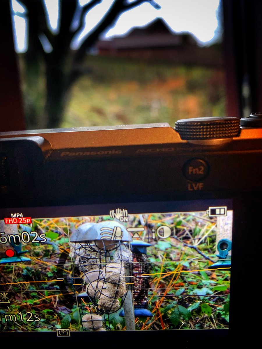 Delweddauimages's tweet image. Zoomed in #project26 
#365Project 
#photography
#findyourepic
#Welshphotography
#iphone
Visit delweddauimages.co.uk