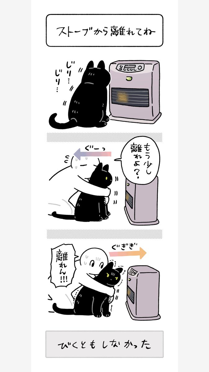 ろんさんはストーブが好きなので、離れてもらおうと思ったらもっとレートが高いものを差し出して交渉する必要があり、ちょっとだけ困ったさんだが
彼の中でレートが1番高いのが「私が使用中のクッション」なのでとてもいとしい 