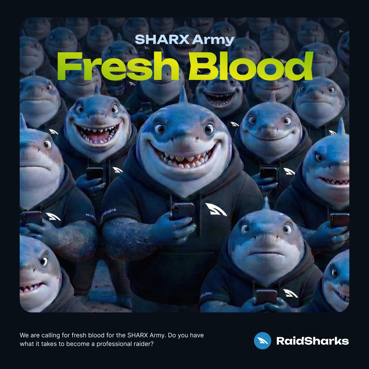 RaidSharks tweet media