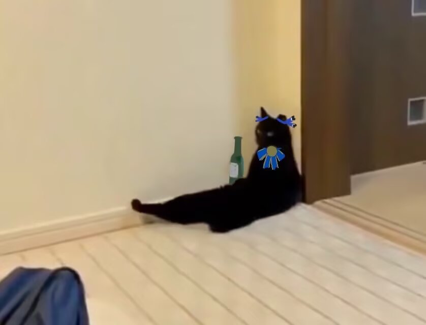 堀川球🥝 (@horikawakyuu) on Twitter photo 