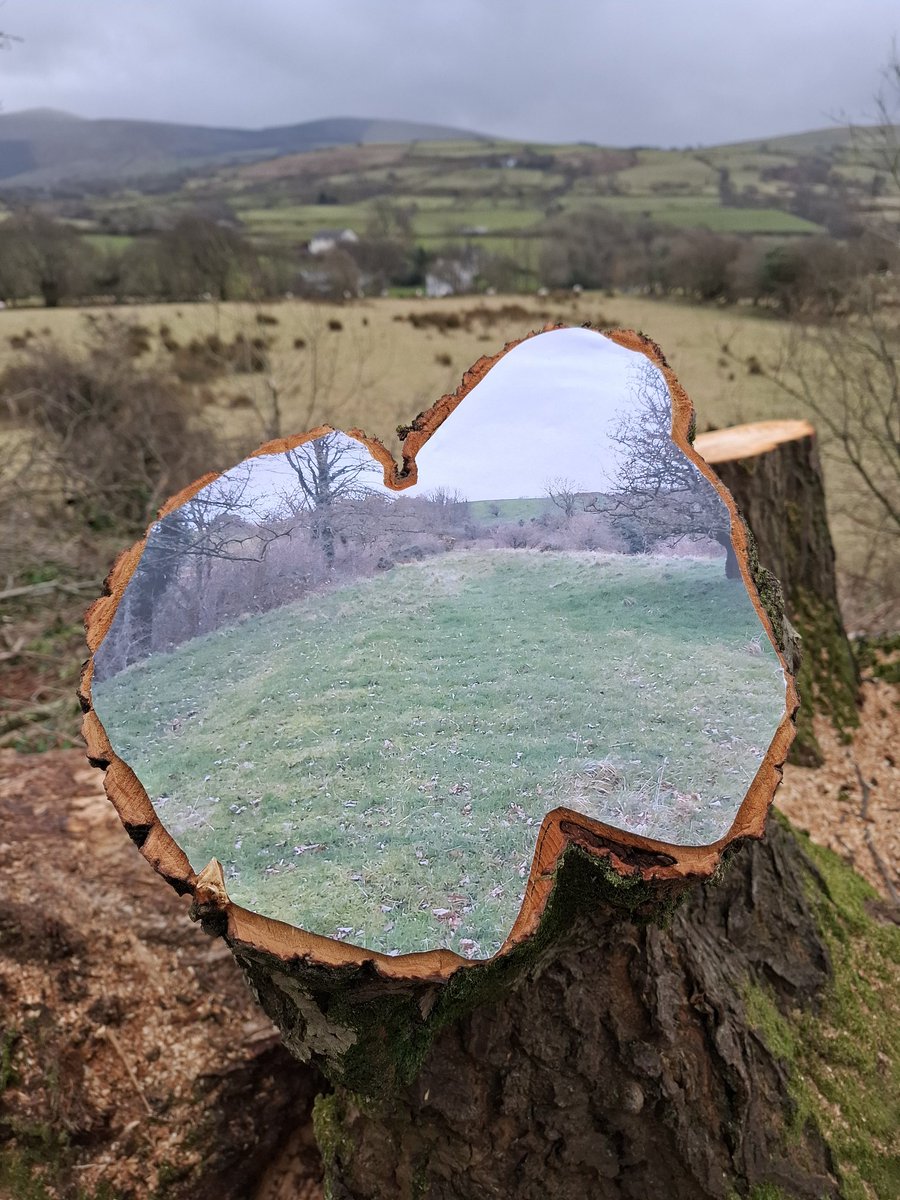 Tim Pugh tweet media