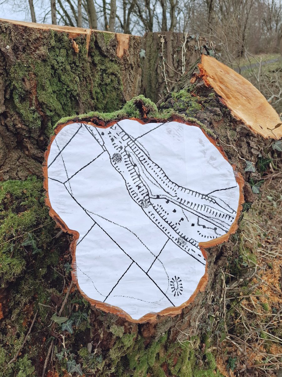 Tim Pugh tweet media