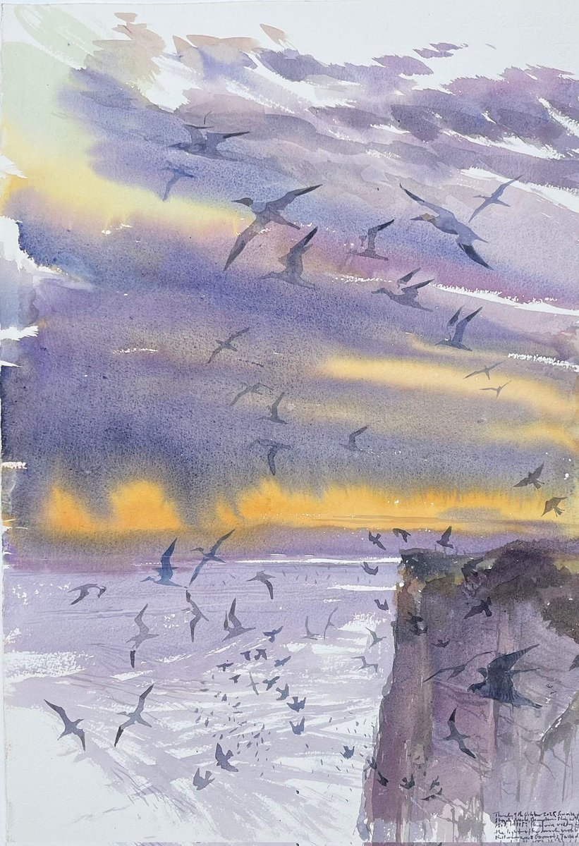 helen warlow tweet media