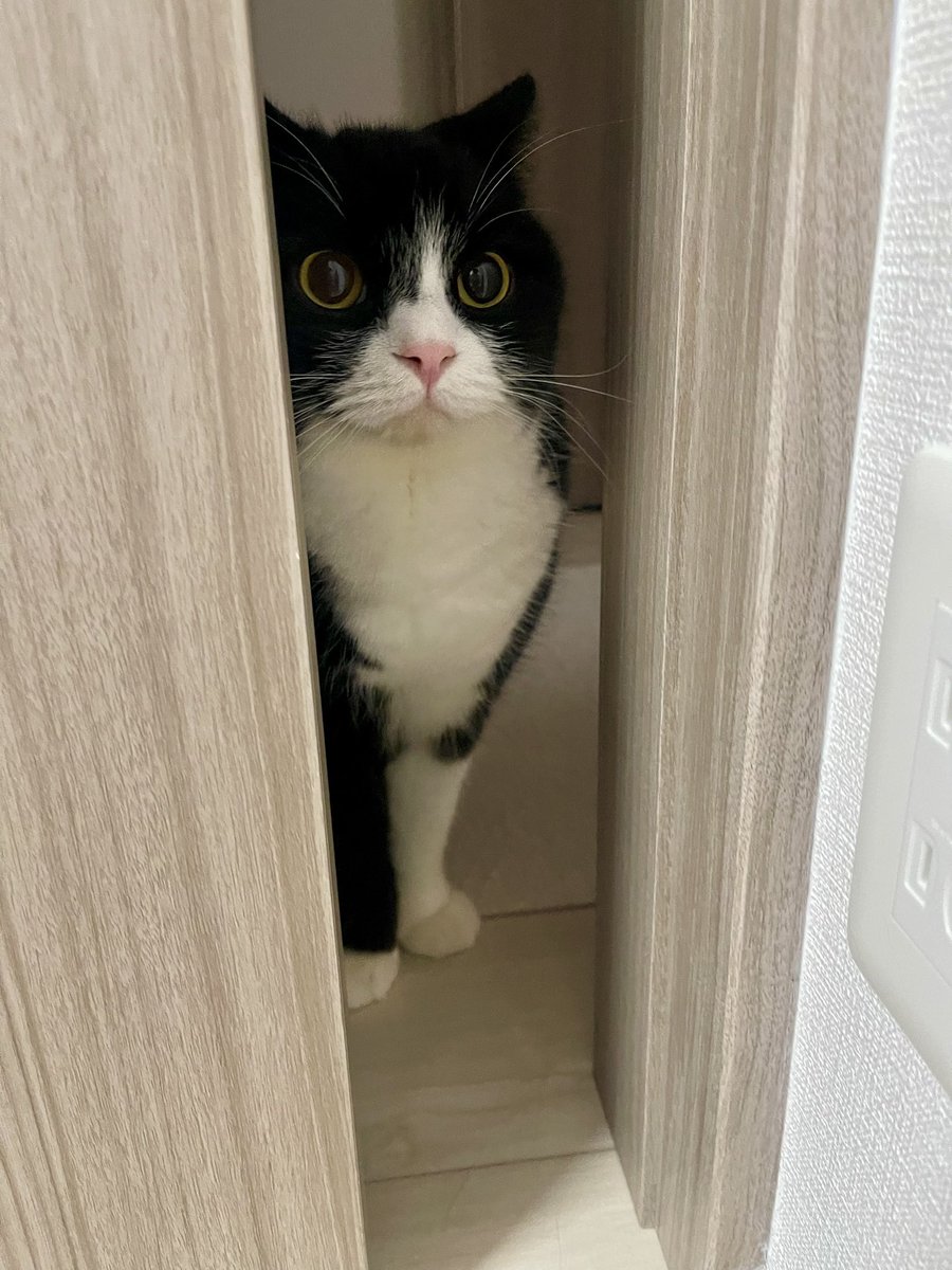 たろう (@taro20216) / Posts / X