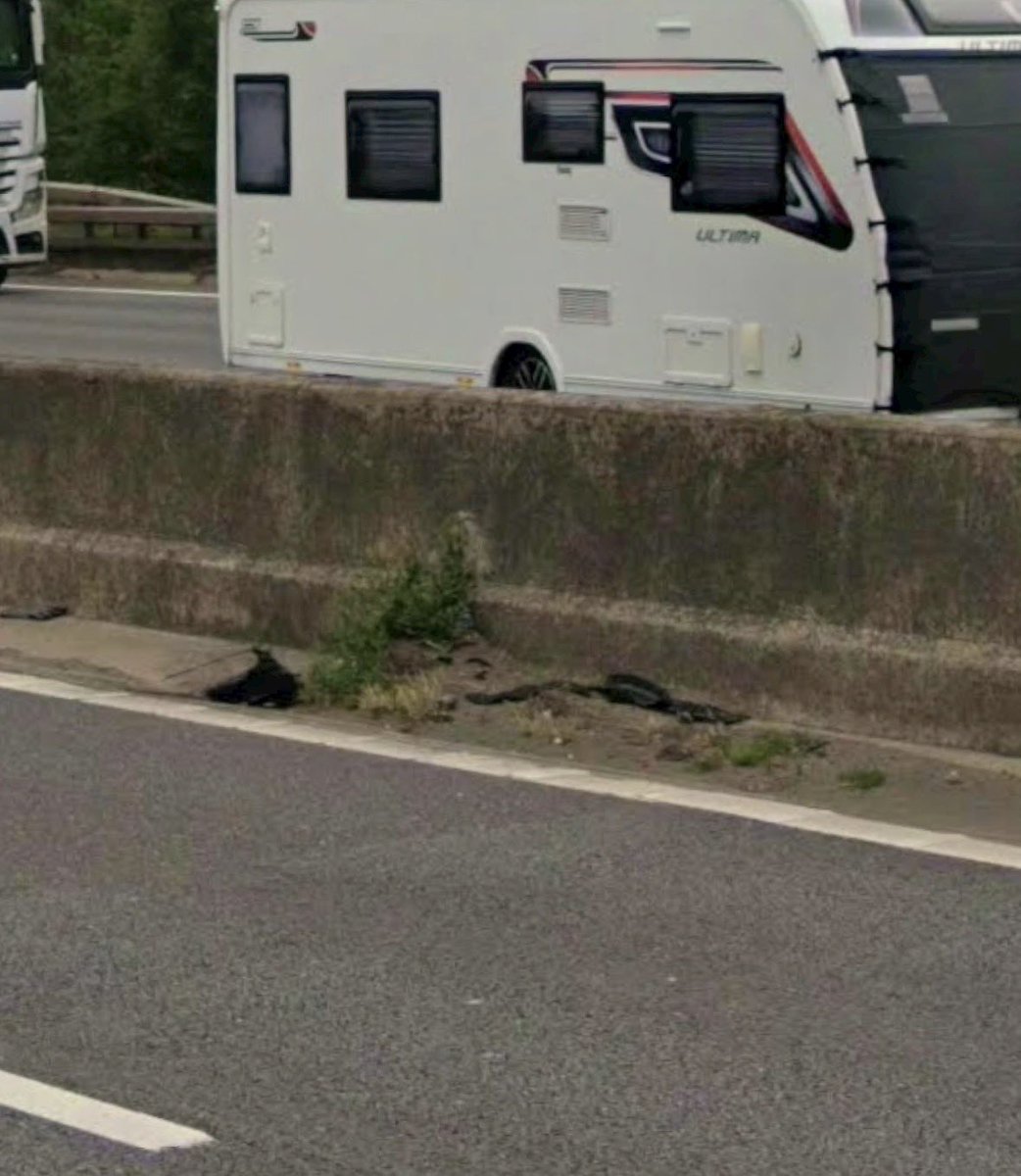 edge_res's tweet photo. @cleanupbritain @NationalHways M1 near Tibshelf, but could be anywhere. Filthy overgrown road signs, overgrown SOS call boxes and drains filled with years of uncleared soil and litter and fly tipping and debris even filling the so called Emergency Bays and Hard Shoulders https://t.co/S4ZhFNyNmW