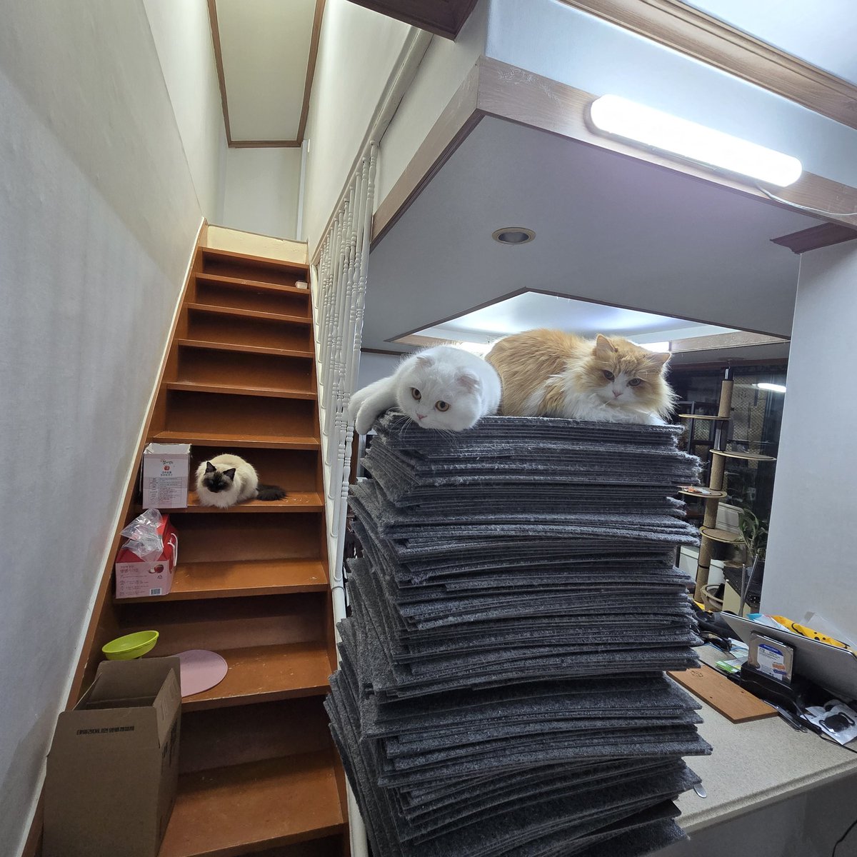 그러라고 쌓아둔게 아닙니다...