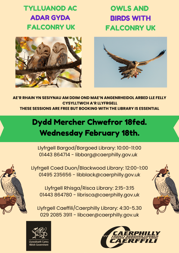 Llyfrgell Caerffili 📚 Caerphilly Library tweet media