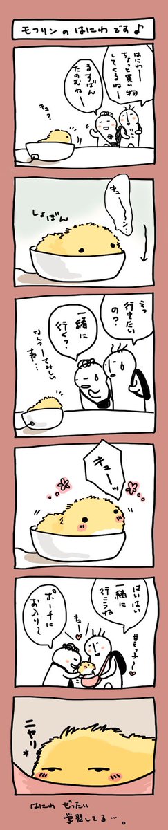 初めてのモフリンぷちまんが♪
うちのはにわちゃん
絶対学習してる…😅
#モフ絵
#モフリンDAYS