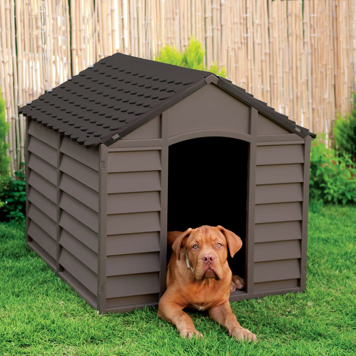 Dr. David Wood tweet media