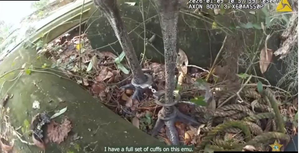 Marty Smith tweet media