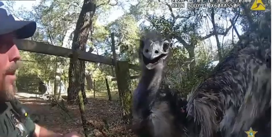 Marty Smith tweet media