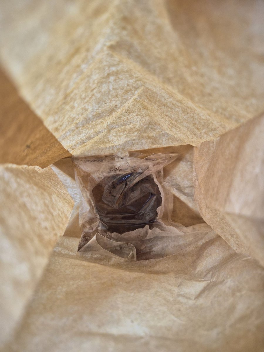 해조님이 주신 두쫀쿠~~~~