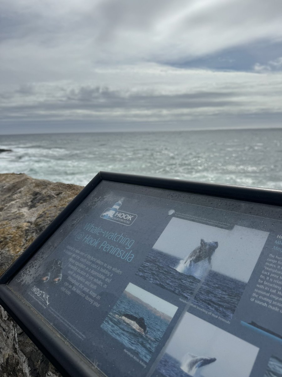 Hook Lighthouse tweet media