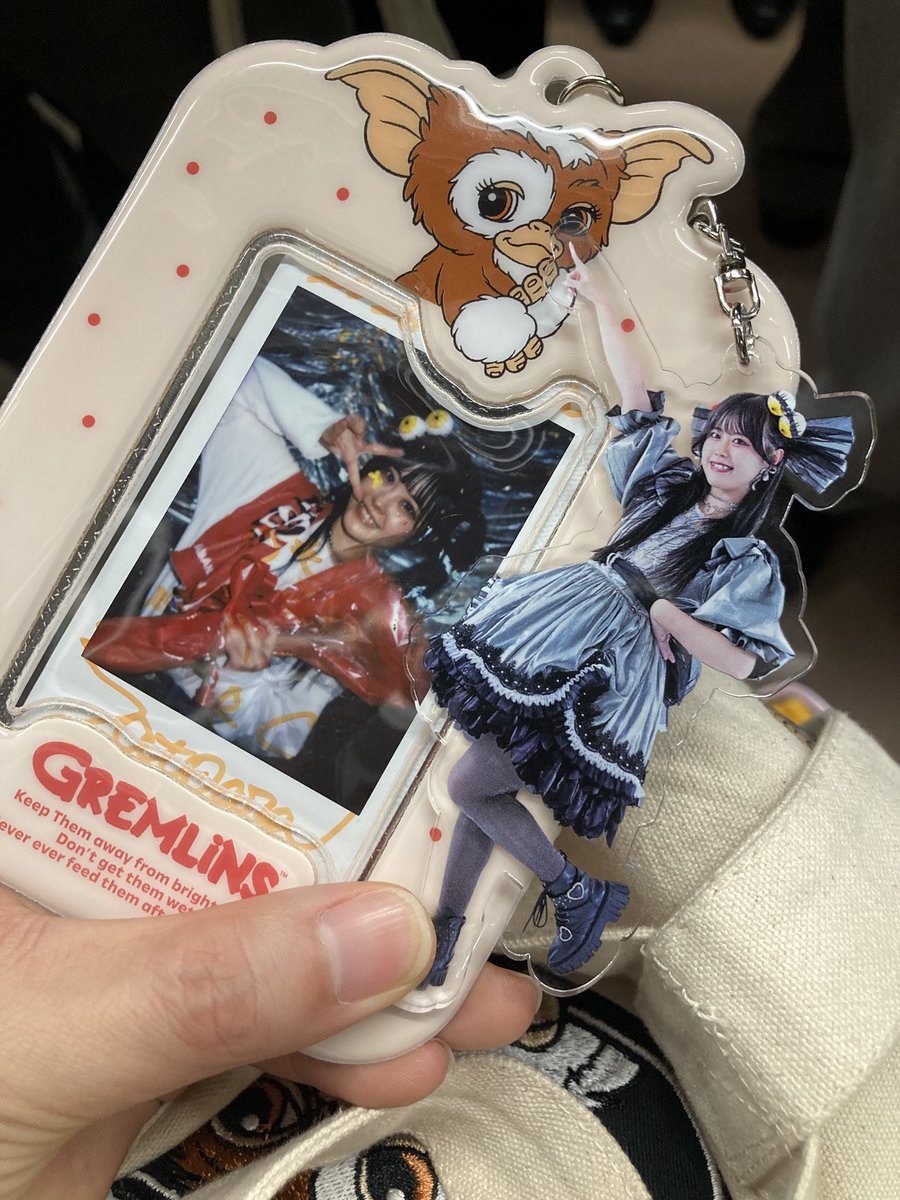 ギズモちゃん (@gizumo0gizumo) / Posts / X