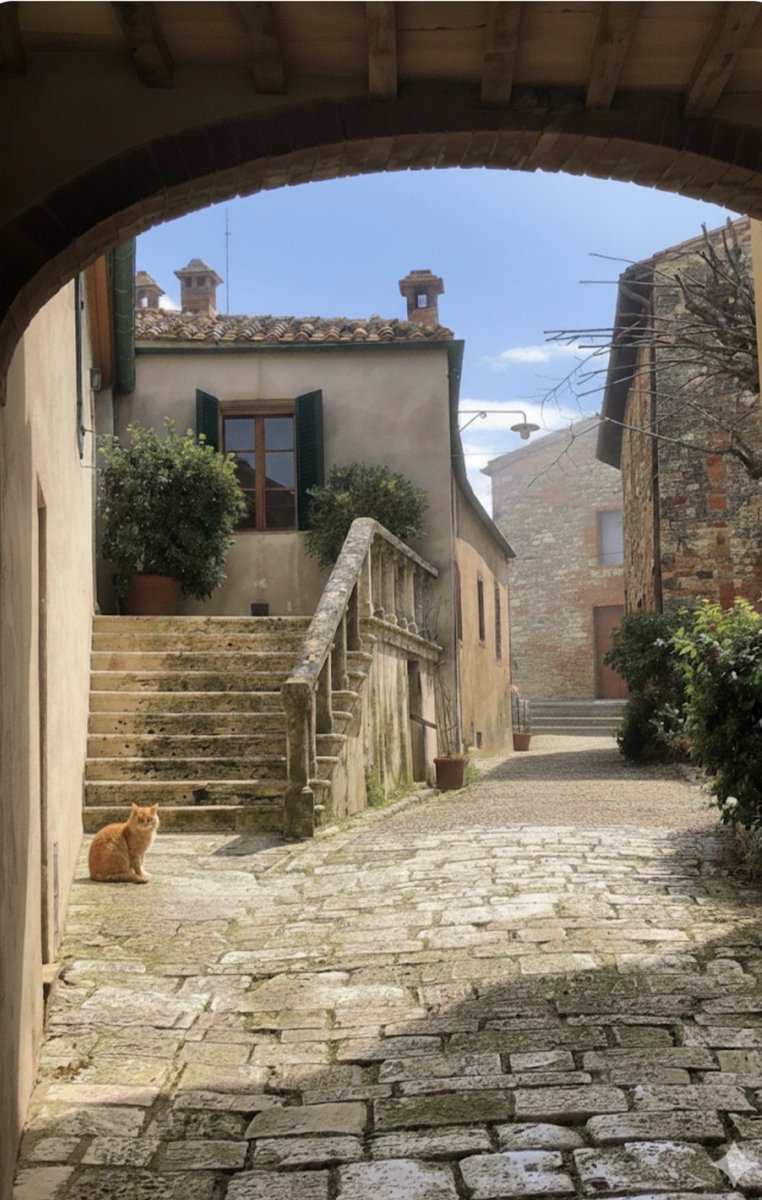 fabergian's tweet photo. Il sabato del villaggio.
#cretesenesi
#lucignanello https://t.co/nScHI7THiC