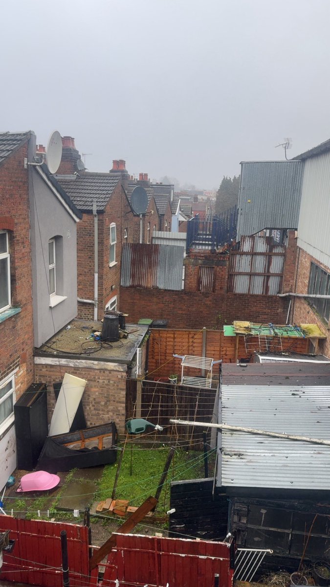 Michael 🐓 tweet media