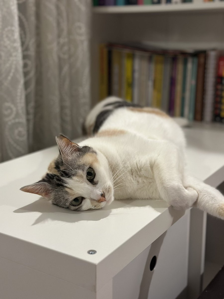 Kitapların efendisi 😍
Tatlı kızım 🤍