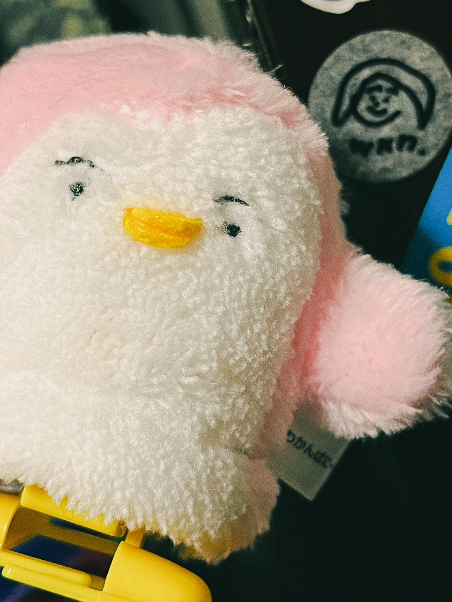 わかんぱにー☺︎ (@wkn8) / Posts / X